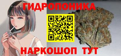 a pvp Кунгур