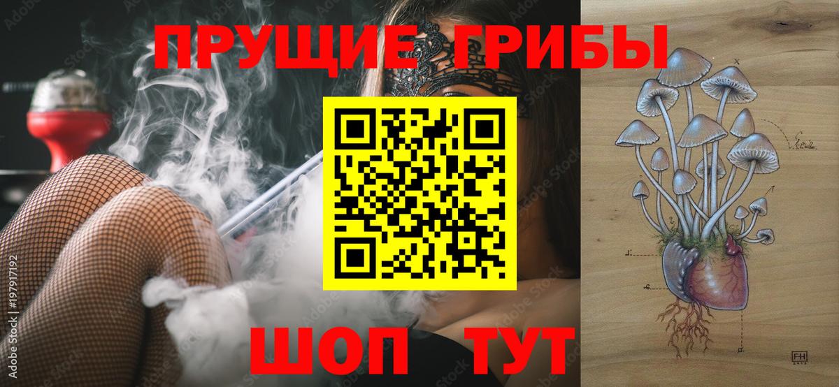 Кольчугино  Галлюциногенные грибы Magic Shrooms  Вход с VPN 
